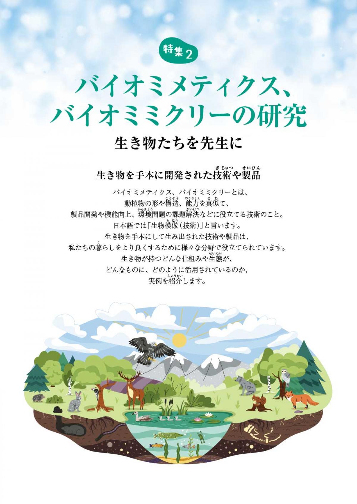 2024年11月号特集②　バイオミメティクス、バイオミミクリーの研究 生き物たちを先生に